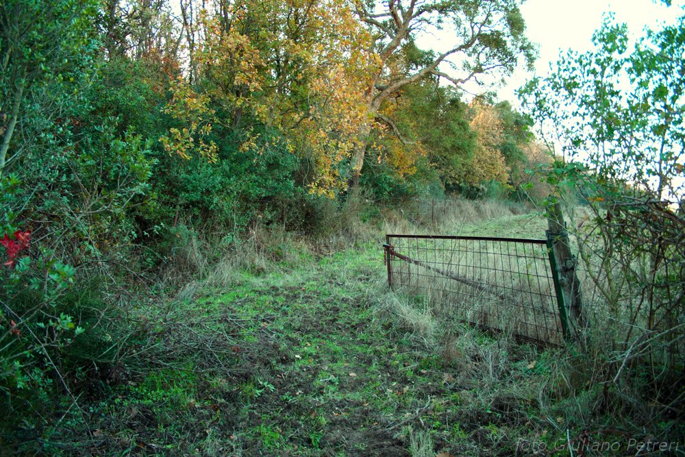 da Castel di Guido a Fregene